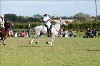 UKPA  NC Sat_1327